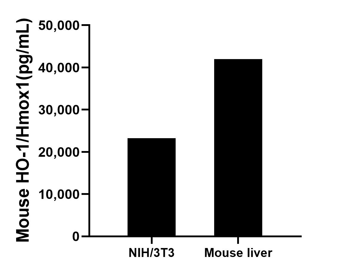 Sample test of MP00318-3